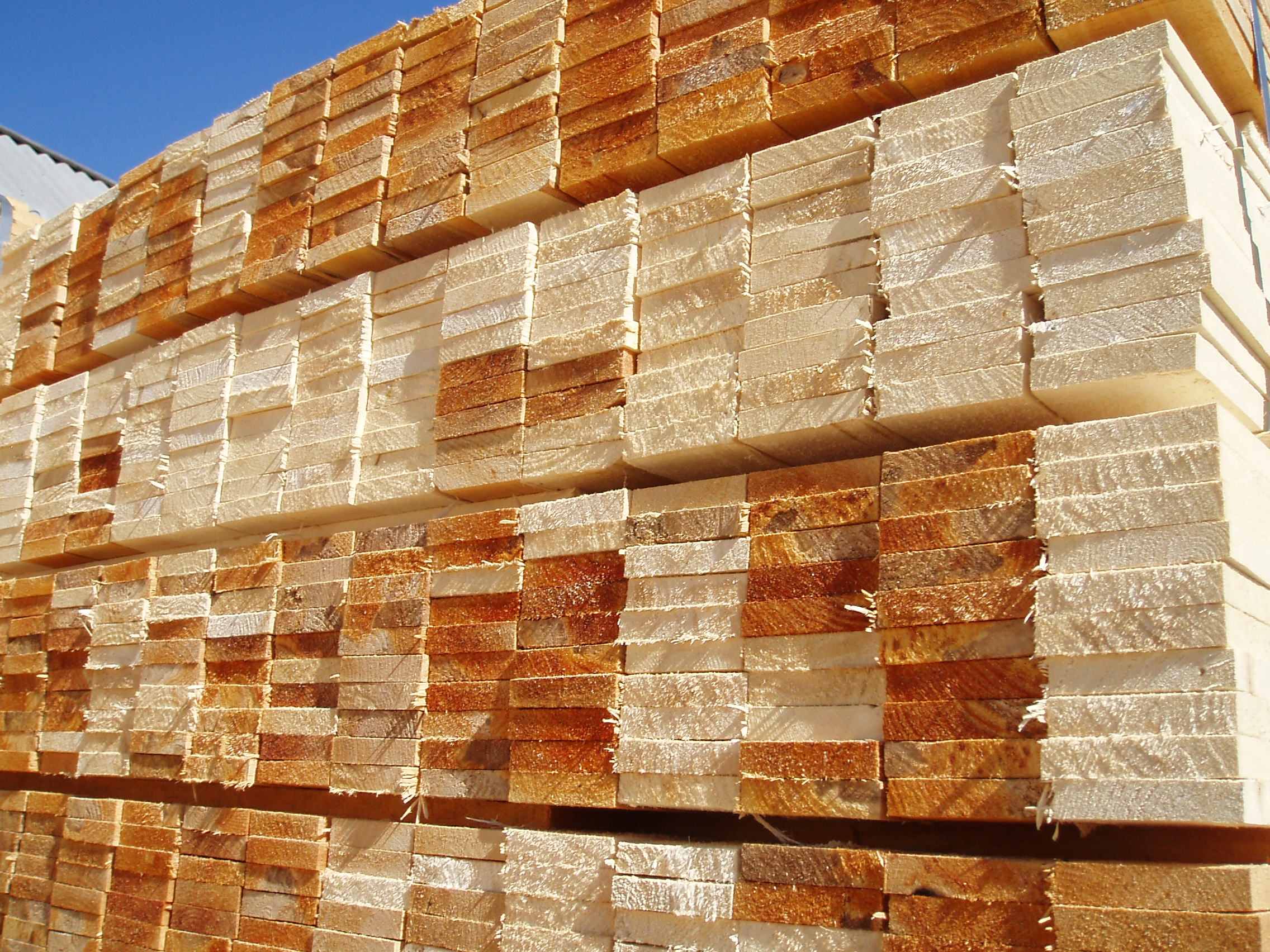 Tarines lenteles perkame14x74x1200 mm 